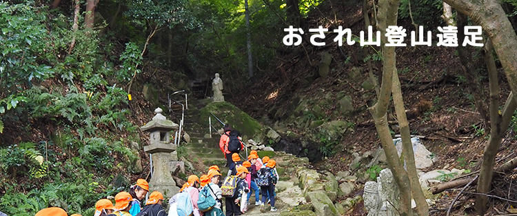 ������R�o�R����